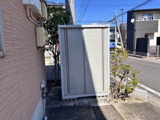 プルメリアA