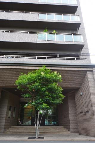 ロイヤルガーデン中山下