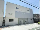 ウィズ大中1