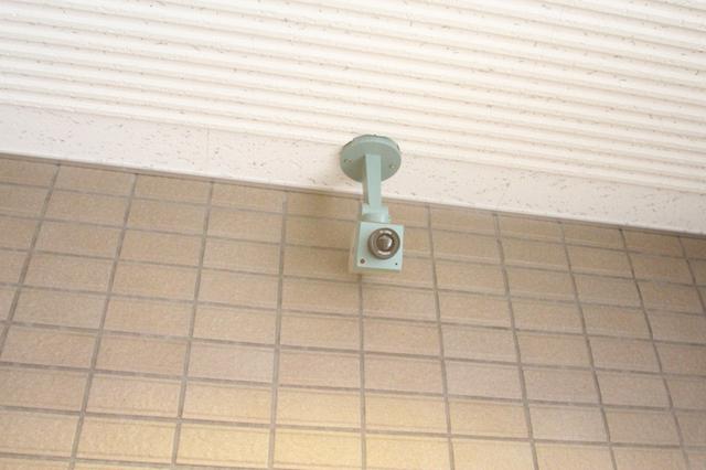 ジュノス