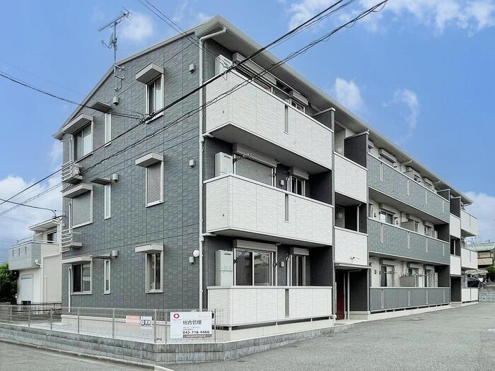 ポーロウニア横山