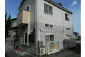 コートアルファームーン