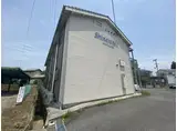 シャインヒルズ
