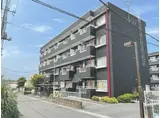 メゾンコジマB