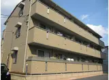 ブランニュー矢野
