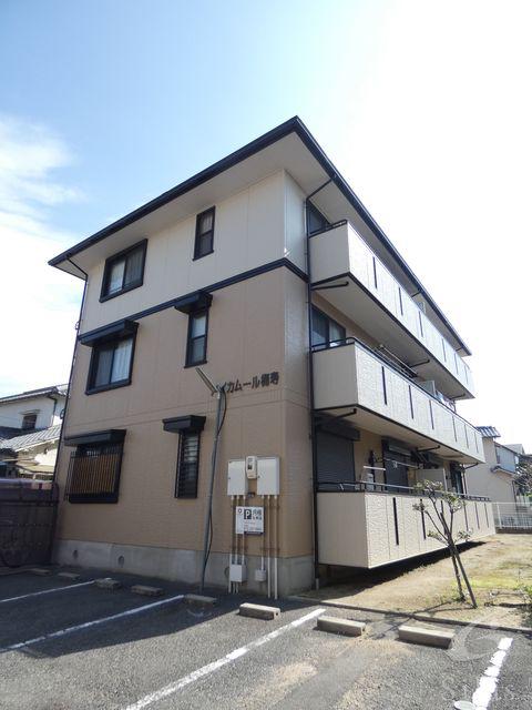 ハイカムール梅寿