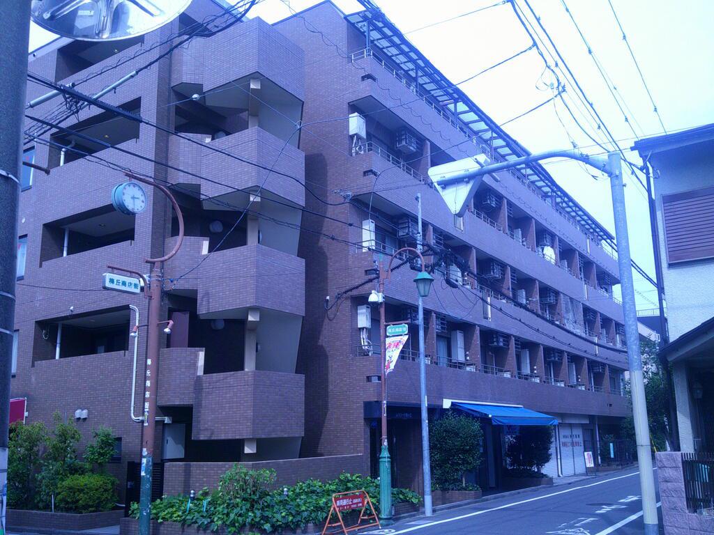 カテリーナ梅ヶ丘