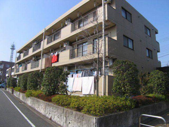 ラピュタTAMA
