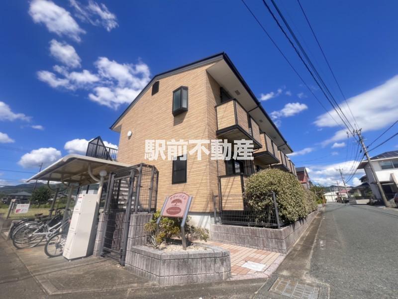 サマーパイン