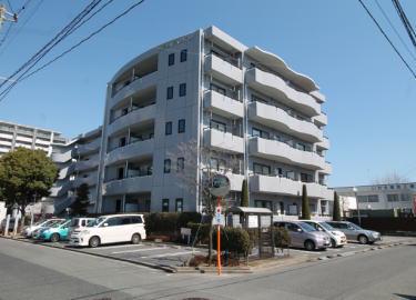 NEO FLATS