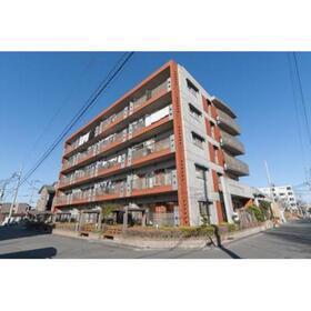 ジーオー桜庵
