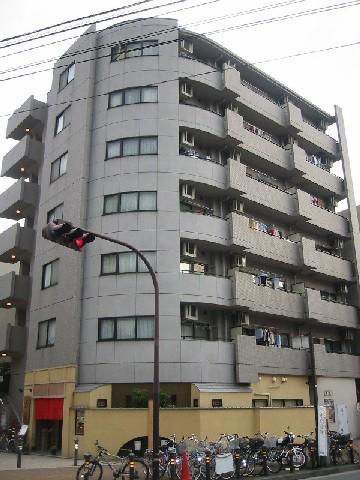 タートルヒルズ