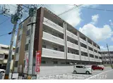 フォルシアマエザト