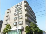 エーヴィゲス市川