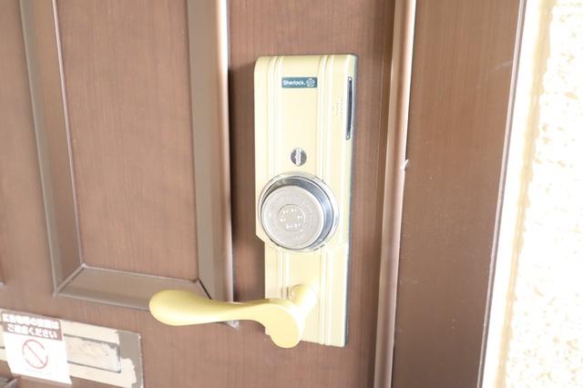フリージア