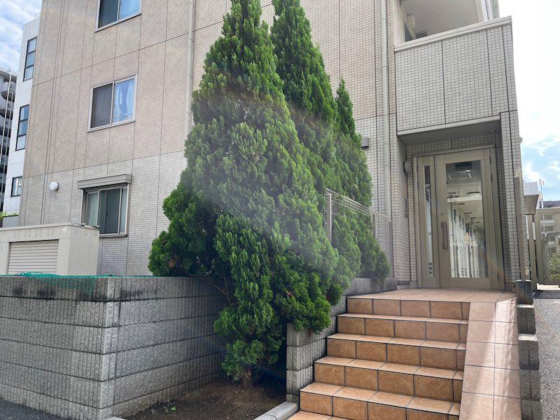 GENOVIA原木中山