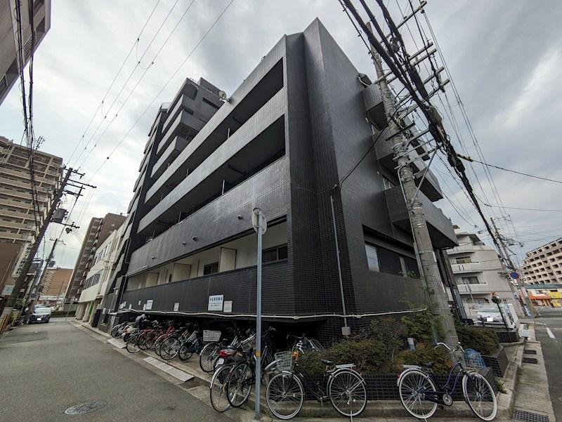 シロハイヌ尼崎