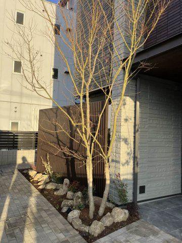 YANAGI TAKASU