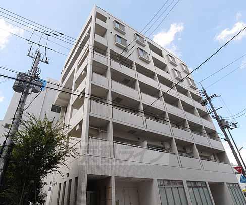 STD五条