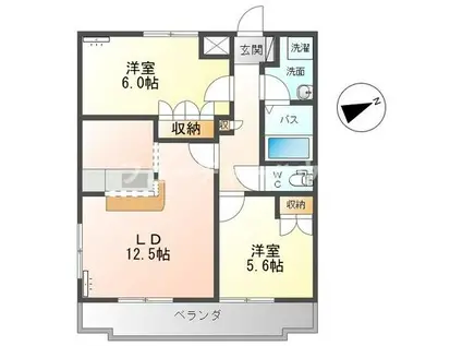 LONG HILLS(2LDK/1階)の間取り写真