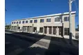 ディモーラ・イーリス
