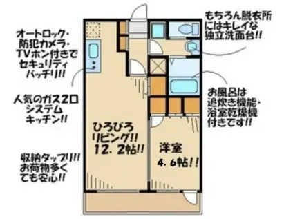 ドゥーエつつじヶ丘(1LDK/2階)の間取り写真