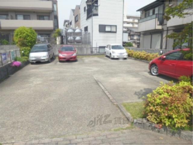 MSベル