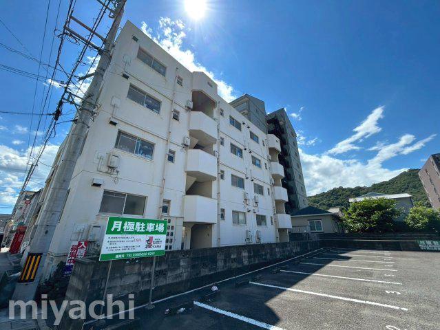 クオリア鷹匠