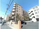 リアライズ市川原木