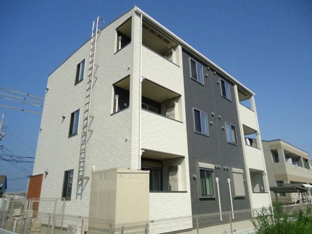 ブライト スギ