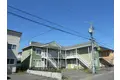 ピーコックホリデー
