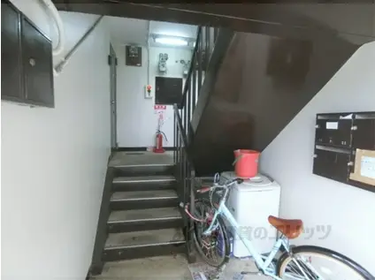 フリーディオ加茂(2LDK/2階)の外観写真