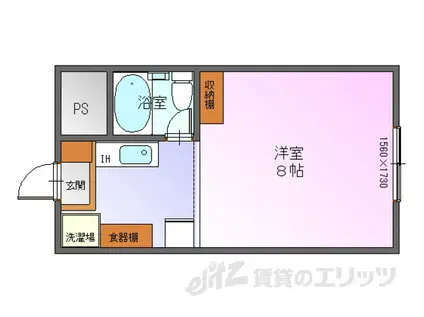 キャッスルハイム金亀(1K/2階)の間取り写真