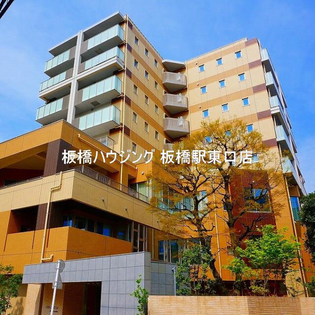 セルティスコート