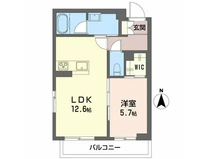 ティターニア(1LDK/1階)の間取り写真