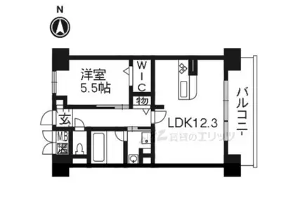 LUO MAROON(1LDK/1階)の間取り写真