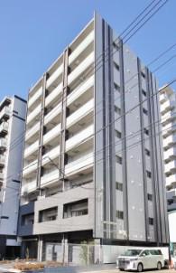 ステラ マリス