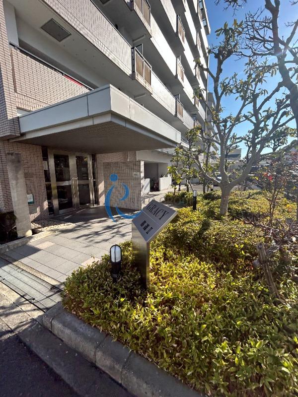 グレーシィ喜連