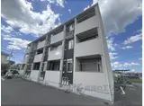 アムールC