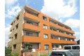 エクセル市川