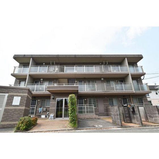 ステラ23