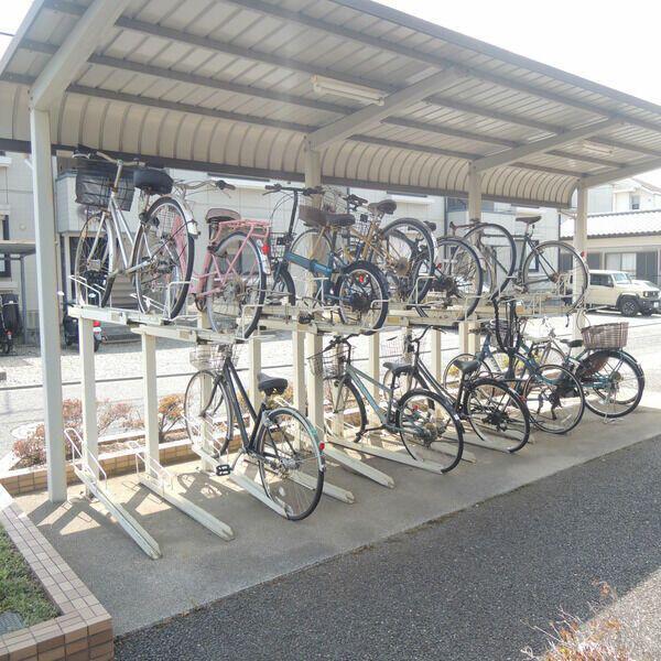 エーデルワイス