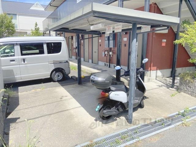 南国スターブル