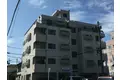 RAIZ星井