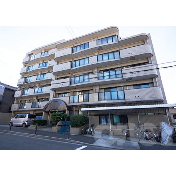 ビハ-ラ白壁