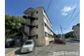 パパ・ド・ポーラスター