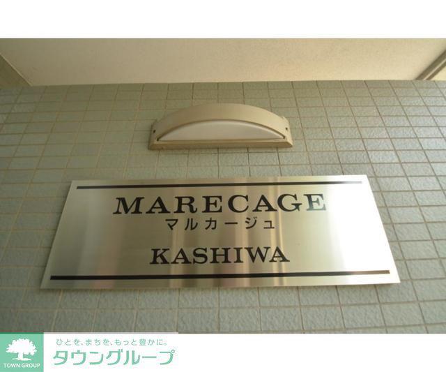 MARECAGE柏