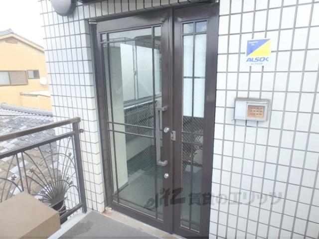 七条ソフィア