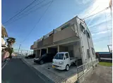 カリン上沢