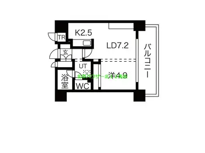 サンタの館N(1LDK/9階)の間取り写真